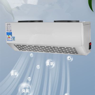 Food Workshop Industrial Ozone Generator Air Sterilizer 20g