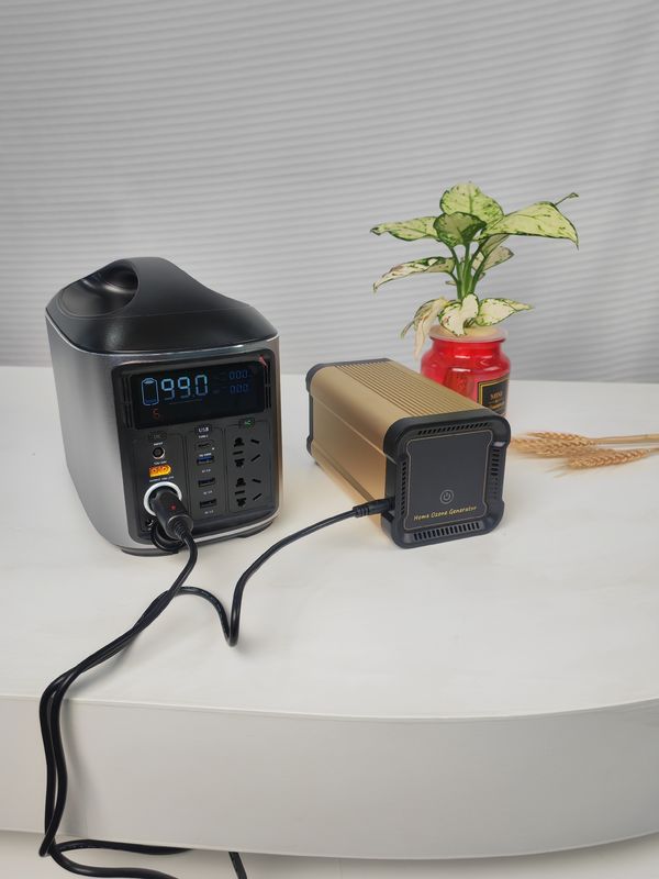 10g Home Ozongenerator Oxygen Concentrator Lightweight H10