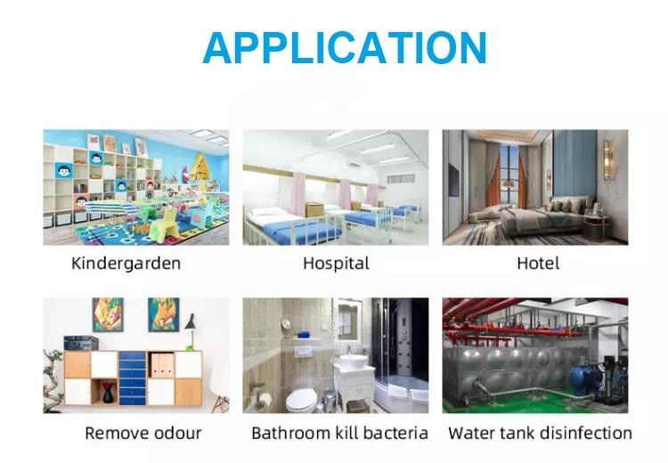 Electric Ozonator 28g/H Deodorizer For Cars For Air Purification