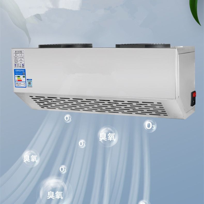 Food Workshop Industrial Ozone Generator Air Sterilizer 20g