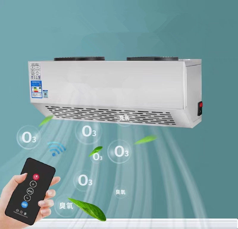 Food Workshop Industrial Ozone Generator Air Sterilizer 20g