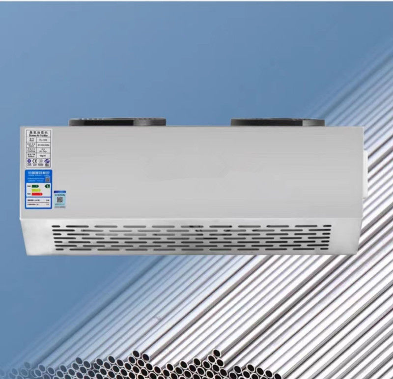 Stainless Steel Industrial Ozonator Ozone Ionizer 10g/15g/20g/30g