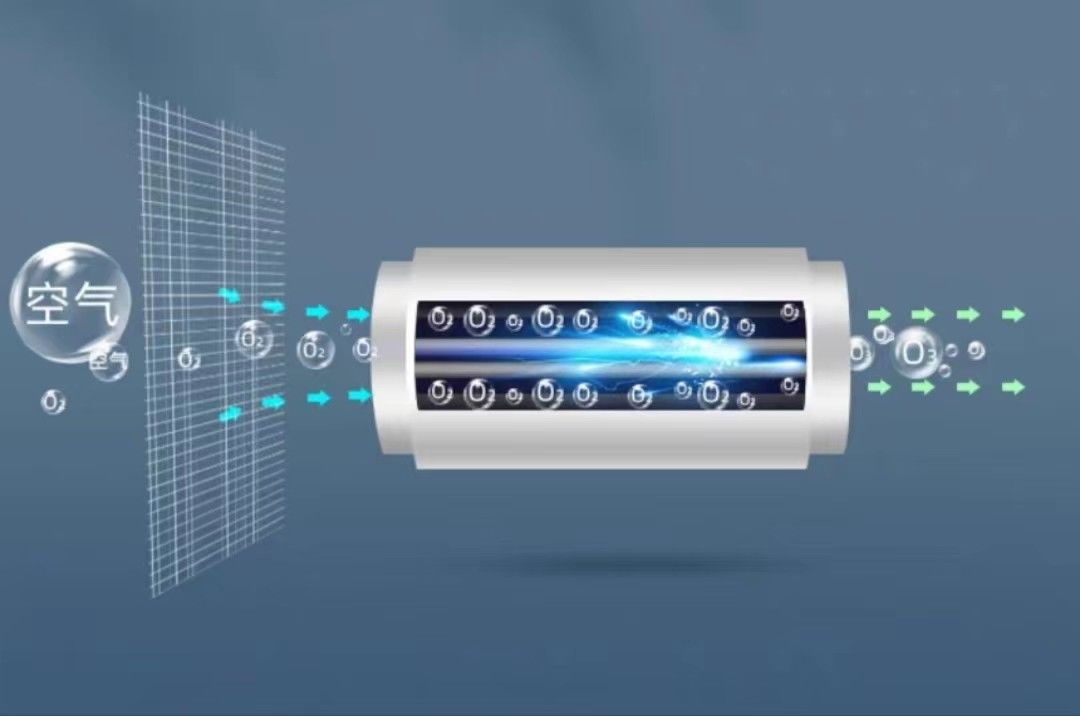 OEM 110v Portable Ozone Generators Ozonator 10g/h-20g/h