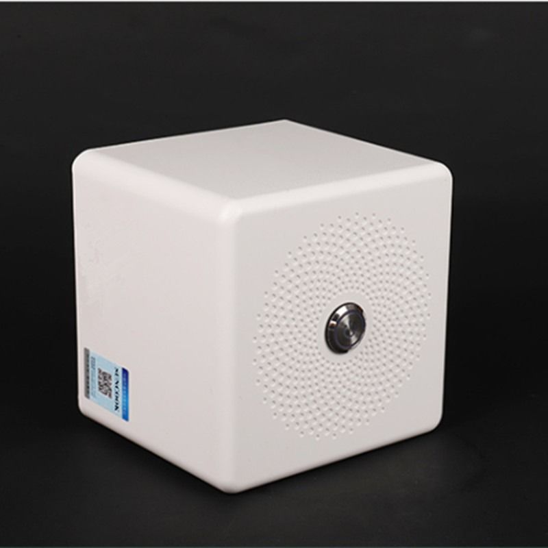 Lightweight Home Ozone Generator With UV Light 500mg/H